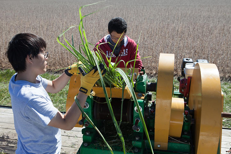 sugarcane juice extraction