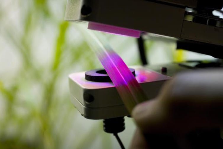 Fluorescence chamber