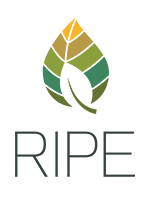 Ripe