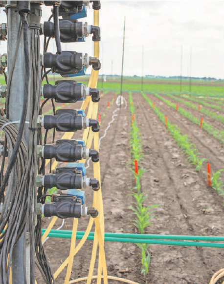 RIPE project researchers are working to modify the growing process to boost the yield of cowpea, cassava, rice and soybeans. 
