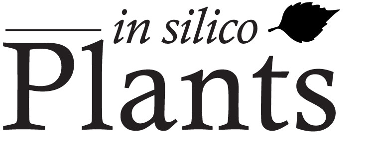 isp logo
