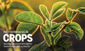 Science Cover