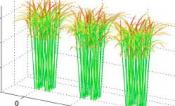 Ray Tracing
