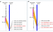 Correspondence between QTLs