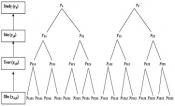 Hierarchical (multi-level) representation of observed yield by study, location, and year