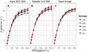 CO2 uptake (A) response to change in light (PPFD) in ictB tobacco transformants (ictB1, ictB3, ictB4, and ictB6) and wild-type (WT) tobacco. The light response curves were measured in ambient [CO2] conditions.