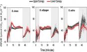 Intrinsic water- use efficiency (iWUE = A/gs) over time during photosynthetic induction (the transition from low light (50 μmol m−2 s−1) to high light (1,500 μmol m−2 s−1) and photosynthetic relaxation (the transition from high light to low light).