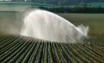 field irrigation
