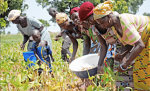 women working